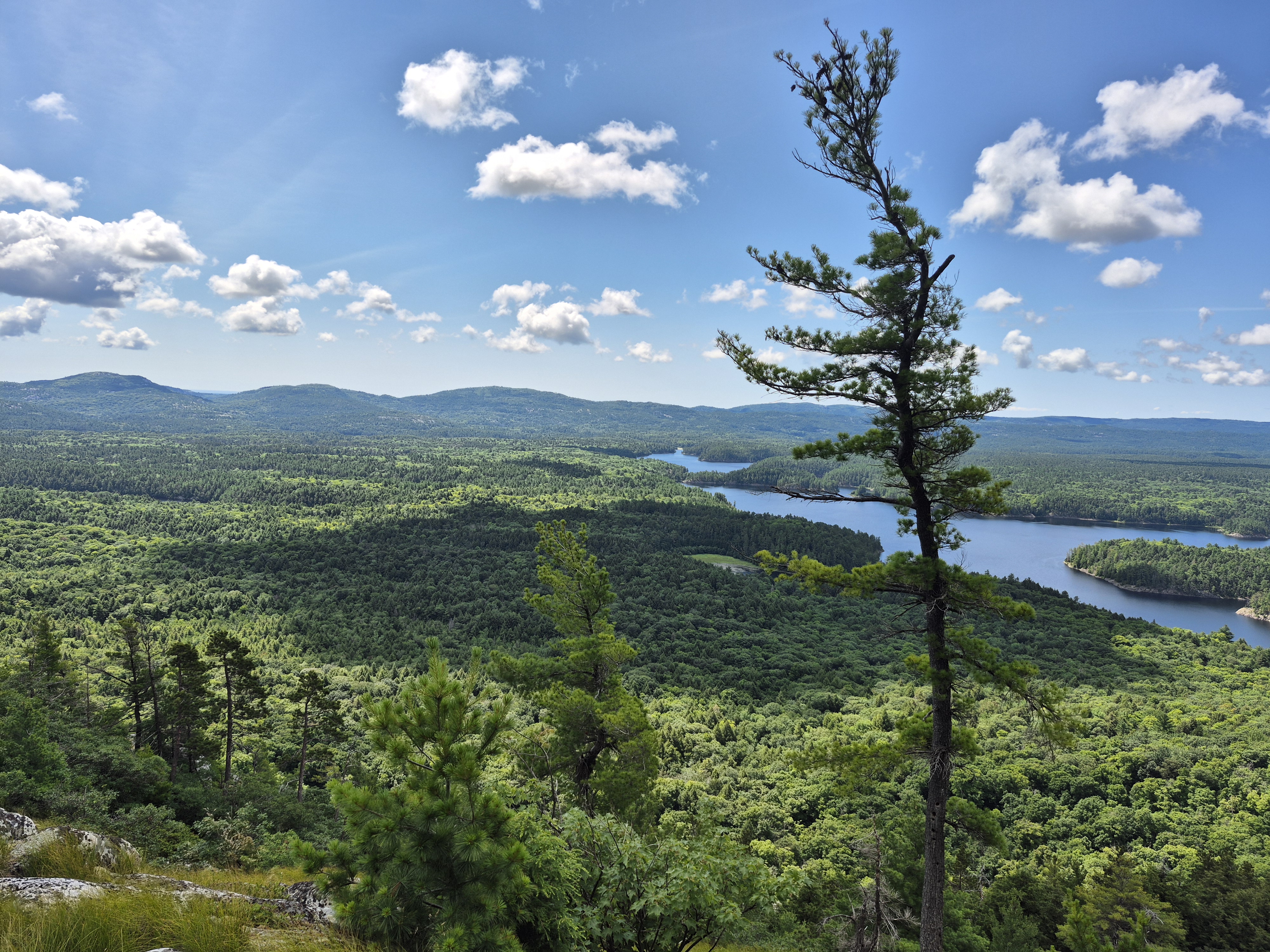 Three Narrows Lake looking east