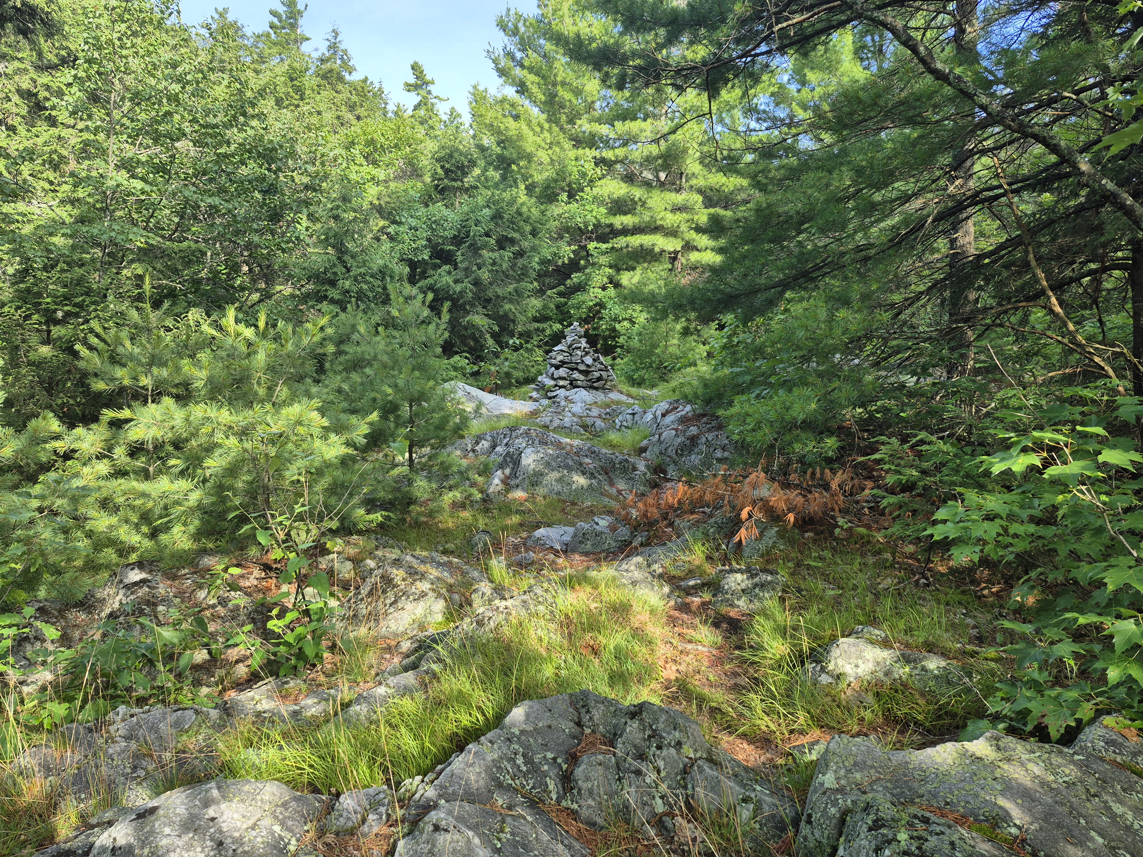 Cairn in the woods